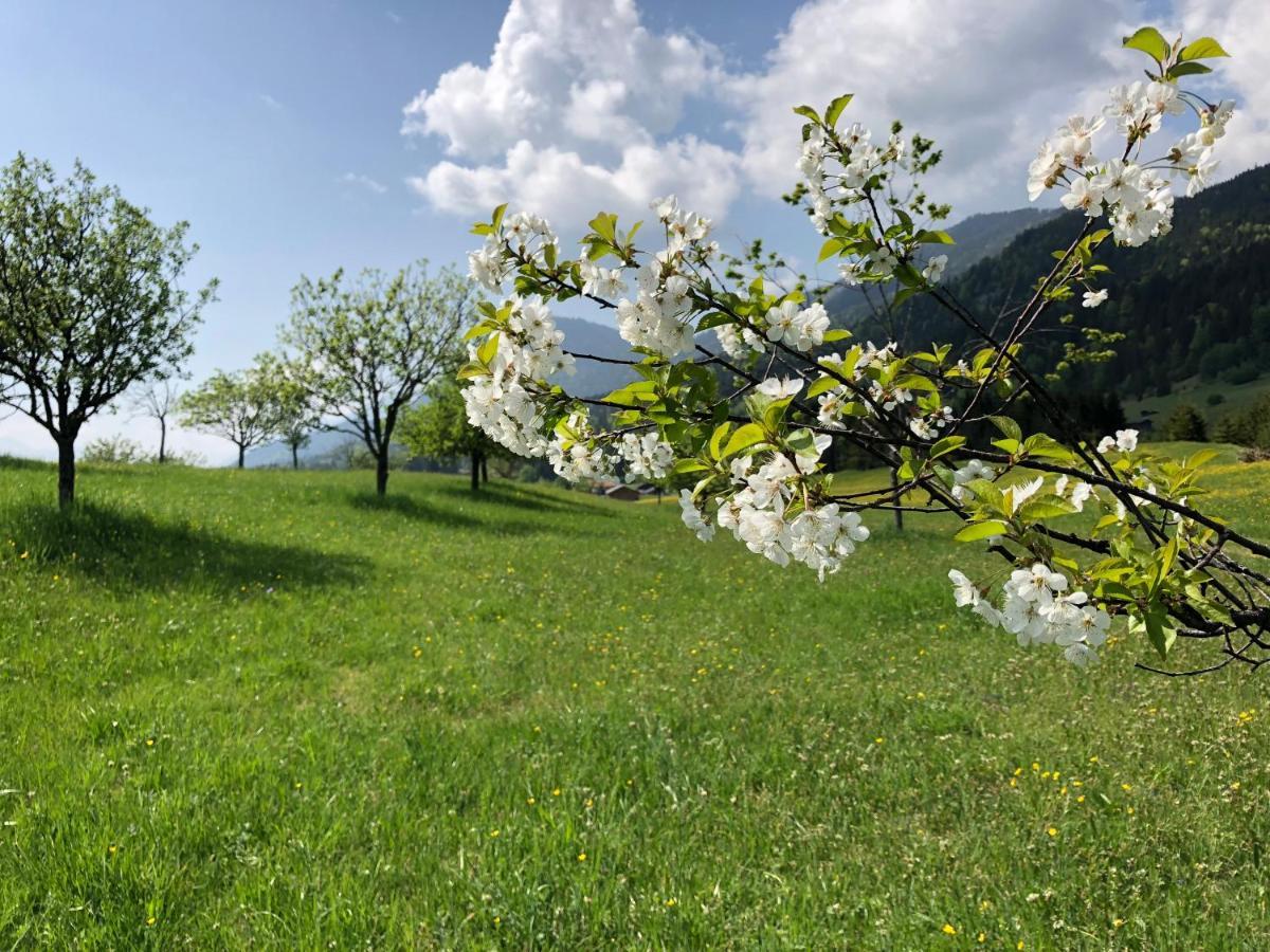 ホテル Alpenhof Kruen エクステリア 写真