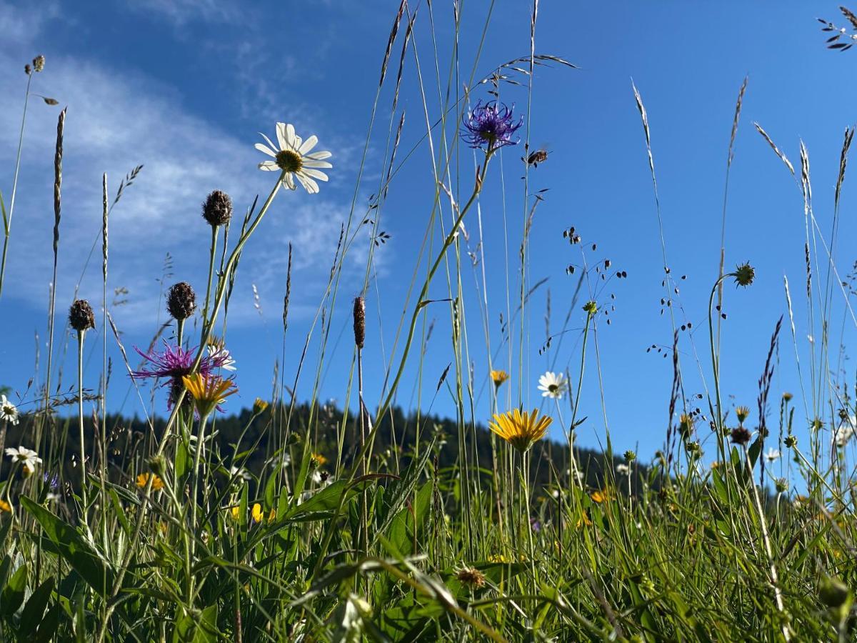 ホテル Alpenhof Kruen エクステリア 写真