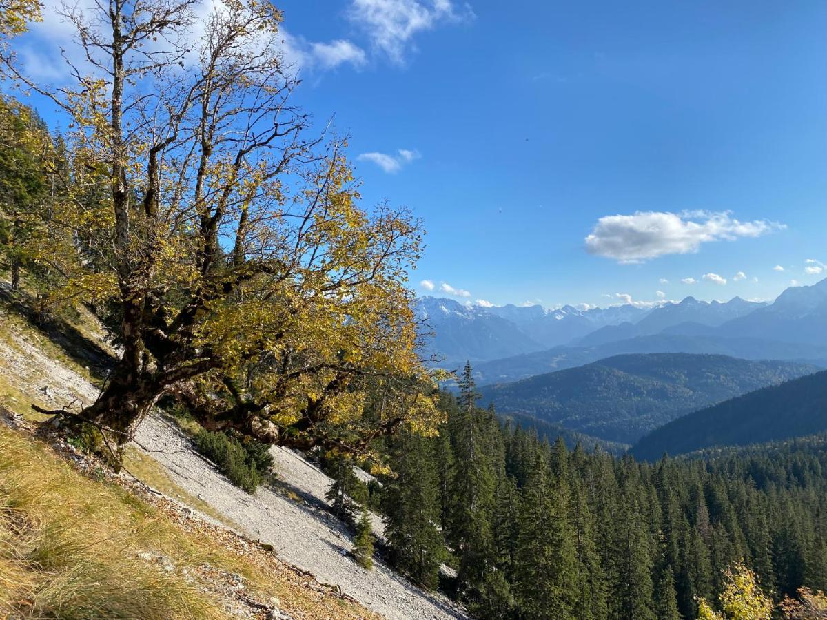 ホテル Alpenhof Kruen エクステリア 写真