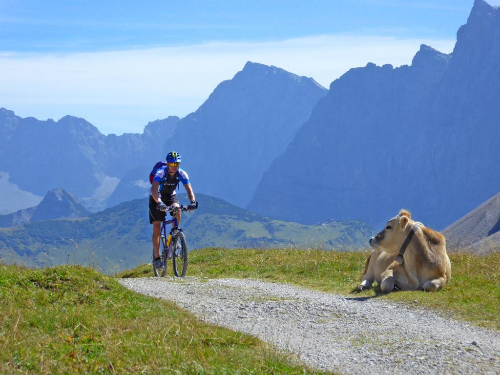 ホテル Alpenhof Kruen エクステリア 写真
